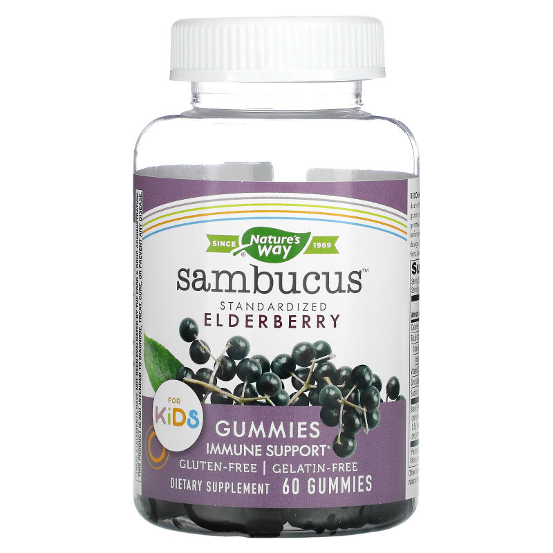 Nature's Way, Sambucus, жевательные таблетки для детей, 60 жевательных таблеток